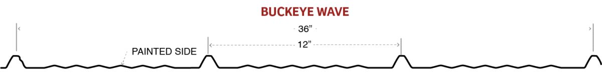 A technical cross-section profile diagram of the Buckeye Wave metal roofing panel showing a corrugated wave pattern with raised ribs spaced 12 inches apart across a 36-inch panel width, with the painted side labeled on the bottom surface.