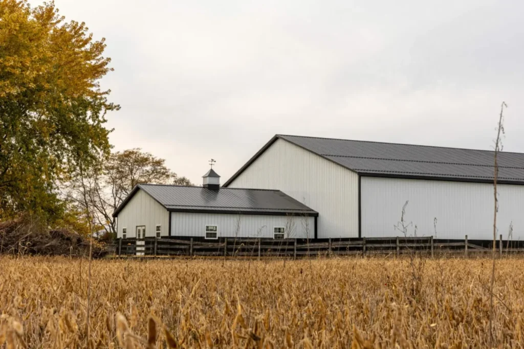 A modern white metal barn with dark metal roofing and a cupola weather vane stands behind a wooden fence, overlooking a golden dried soybean field in autumn.