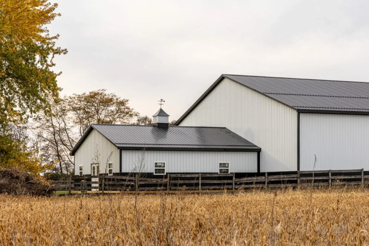 Two white metal pole barn buildings with dark charcoal standing-seam metal roofs, a decorative cupola with weather vane on the smaller barn, separated by a wooden split-rail fence bordering a golden harvested grain field in autumn.