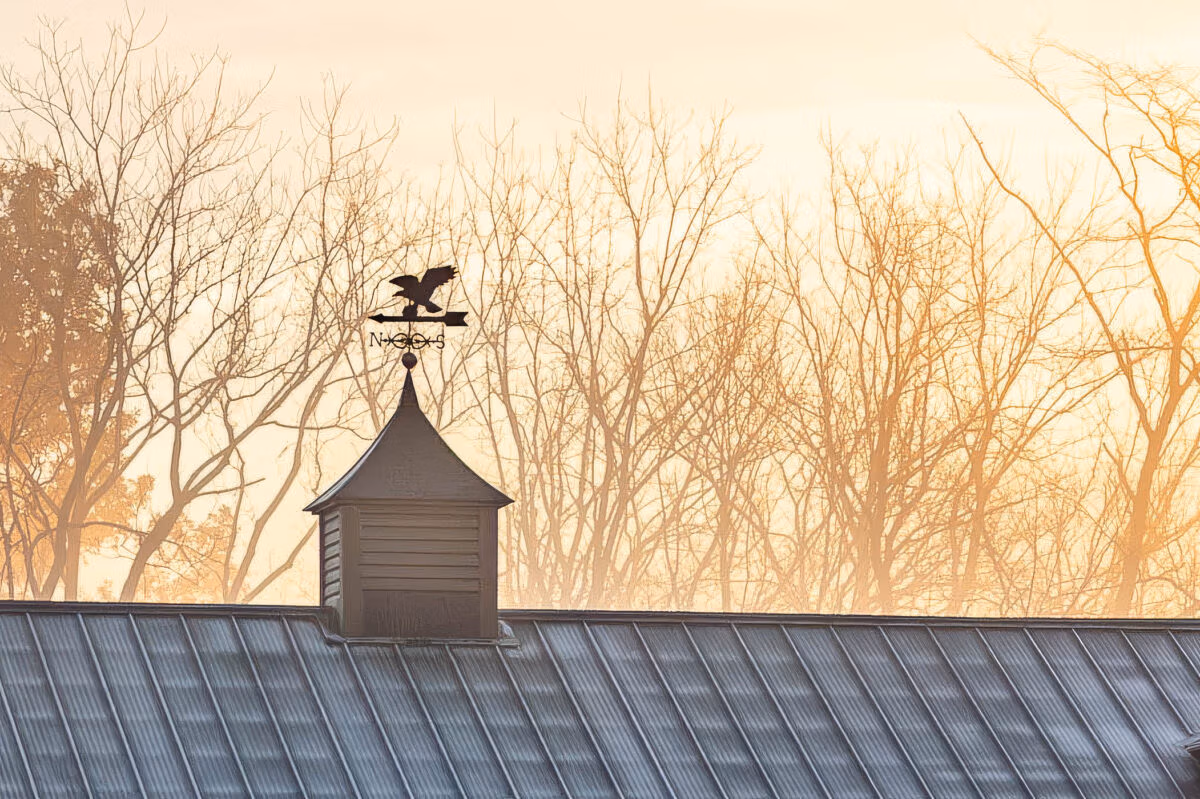 Gray metal roof with a small dark cupola topped by a weathervane silhouetted against bare trees at sunset